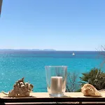 Can Dameto