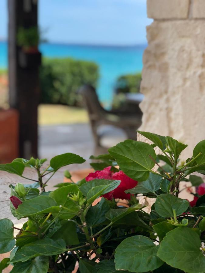 Ferienhaus Can Dameto Campos (Mallorca)